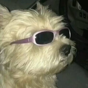 Meet your Posher, Michaela